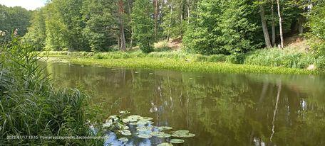 292657354 1080384449246364 5729186993102645354 n