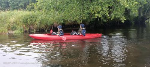 293390076 572669907915733 459066587217293448 n