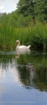 293572943 984357875569286 1699868008265119076 n