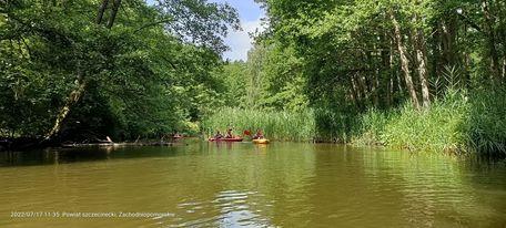 293583564 1178883712678374 2344426735699057288 n