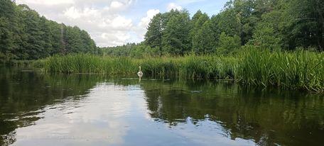 293595670 1197152671119818 8882246186908227582 n