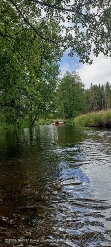 293807782 635118427497204 4507934631618025724 n