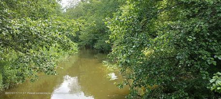 294329927 759428025200700 7799597172984222679 n